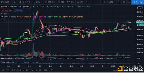 比特币多头现状,解析多头头寸现状与未来趋势