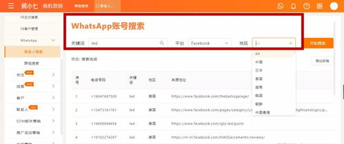 whatsapp 单个灰色勾,消息发送状态全解析