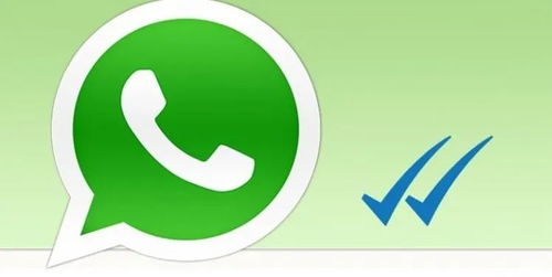 whatsapp谈生意怎么交易呀,高效谈生意新途径