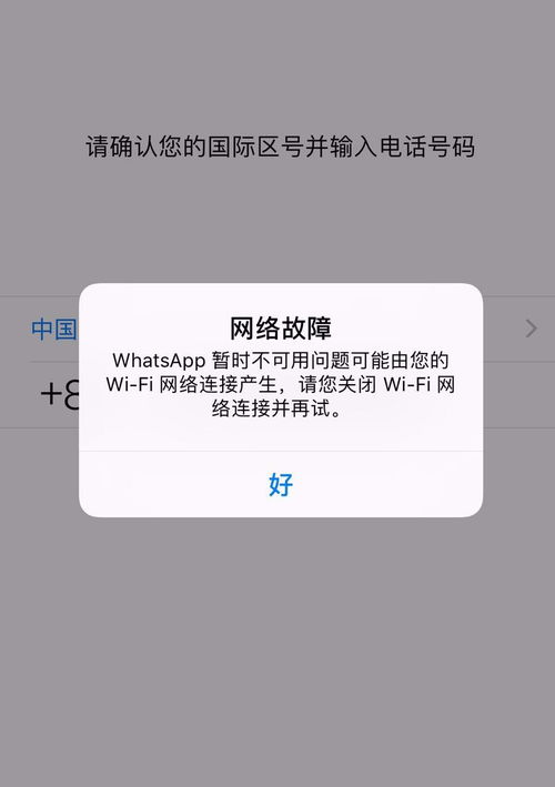 whatsapp换了手机登录,WhatsApp登录新篇章