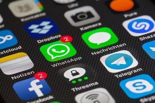 whatsapp的申请网址,一键开启便捷沟通新体验