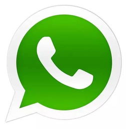 whatsapp 一直不在线,背后真相揭晓！”