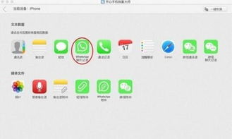 whatsapp备份icloud,轻松实现数据同步与备份
