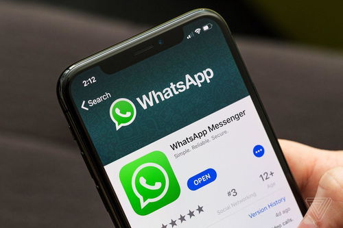 whatsapp勾勾什么意思,沟通中的微妙信号