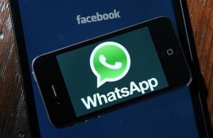 whatsapp接收信息不显示,揭秘常见原因及解决方案