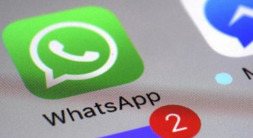 whatsapp个人主页网址,探索社交新天地