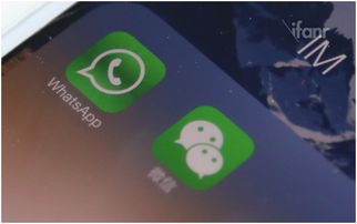 whatsapp是直接加微信吗,一键直达微信新体验