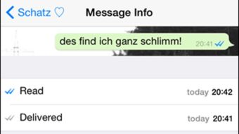 whatsapp 怎么看已读,如何识别消息已读状态
