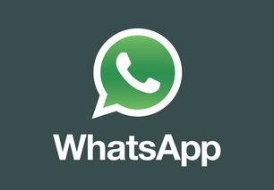 whatsapp公司创始人,从梦想起航到全球通讯巨头