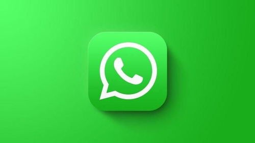 whatsapp icon,WhatsApp图标背后的便捷世界